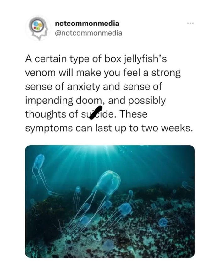 Interesting-Facts-Notcommonfacts