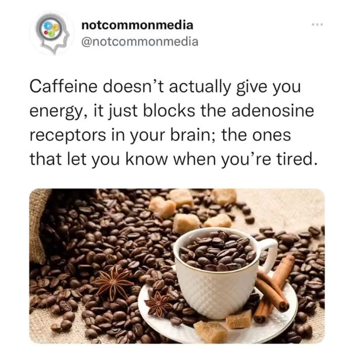 Interesting-Facts-Notcommonfacts