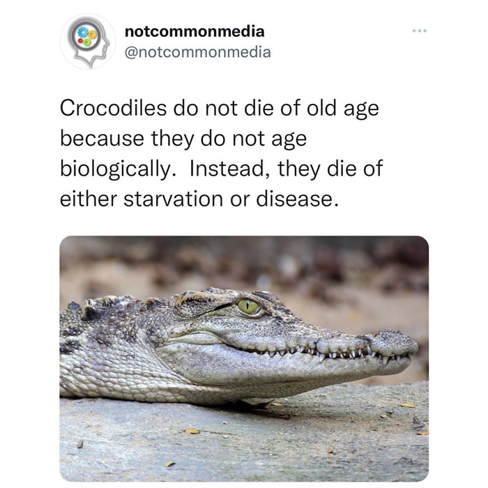 Interesting-Facts-Notcommonfacts