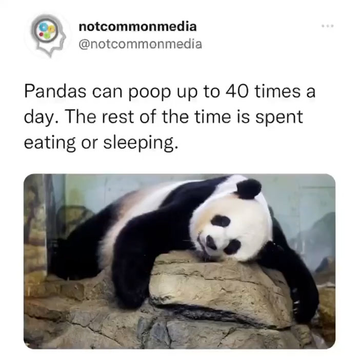 Interesting-Facts-Notcommonfacts