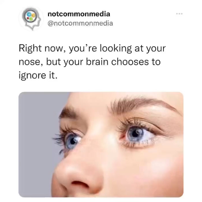 Interesting-Facts-Notcommonfacts