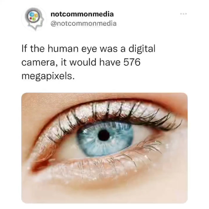 Interesting-Facts-Notcommonfacts