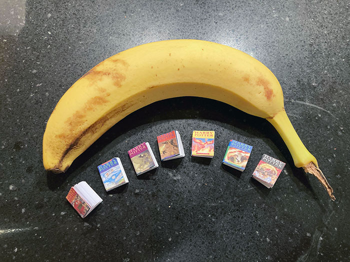 Everyone Is Posting Their Book Collections. Here Is My Daughter’s Harry Potter Small Book Collection