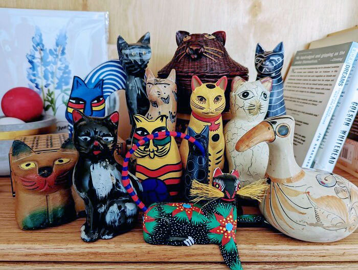 My Collection Of Weirdo Cats