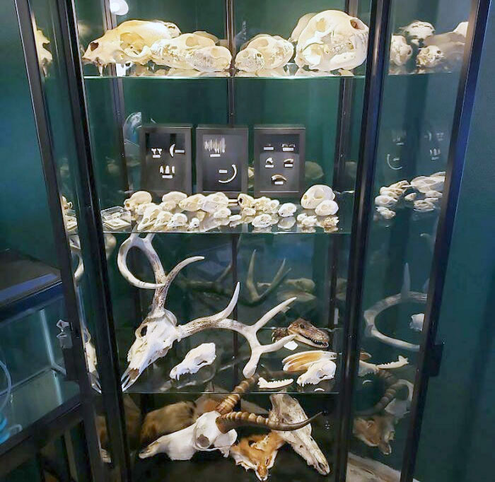 Here's My Collection Of 15+ Years