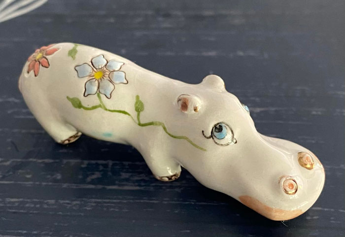 I Have Been Looking For A House Hippo Since I First Heard The Term In This Group