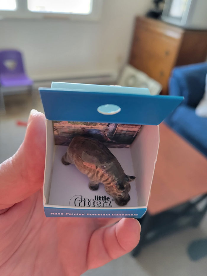 I Pet Sat For My Daughter/Son In Law While They Had My Grandaughter At Cincinnati Children's Hospital For Scheduled Appointments For A Little Over A Week