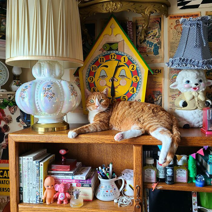 Today's Fabulous Find!!!!