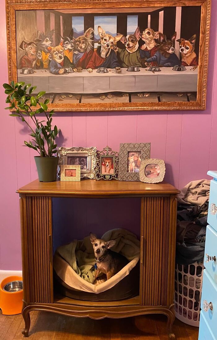 Trash Picked This Mcm Accordion Front TV Stand And Made A Dog Bed Out Of It!