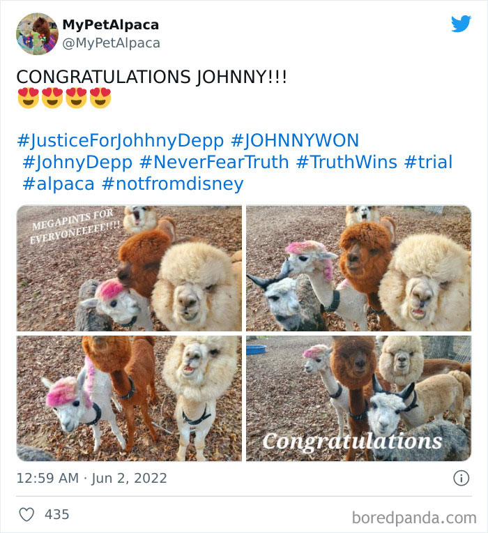 Johnny-Depp-Amber-Heard-Dafamation-Lawsuit-Win-Reactions