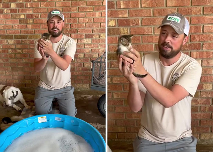 Este hombre fue &ldquo;emboscado&rdquo; por gatitos al detenerse para rescatar a uno de ellos