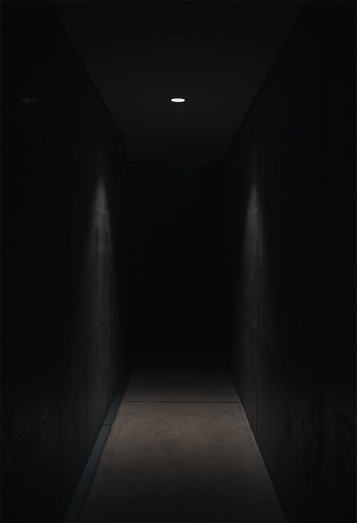 Awful Landlord Wanted His Apartment Painted At The End Of The Lease