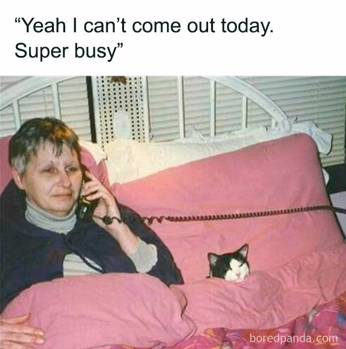 Funny-Introvert-Memes