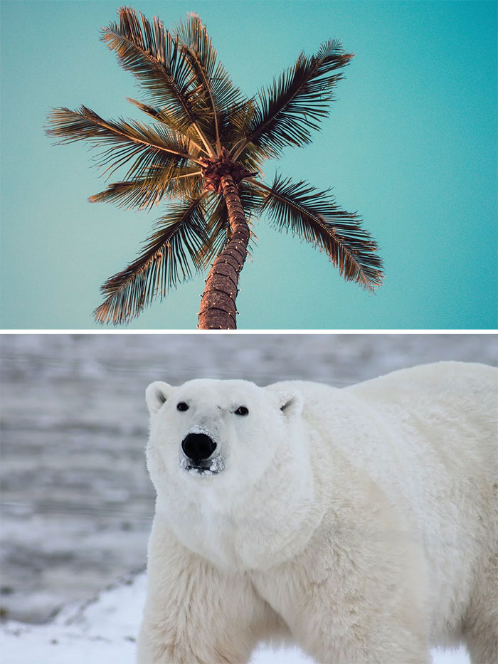 "Australia Is Wider Than The Moon": 35 Mind-Blowing Geography Facts They Never Taught You In School