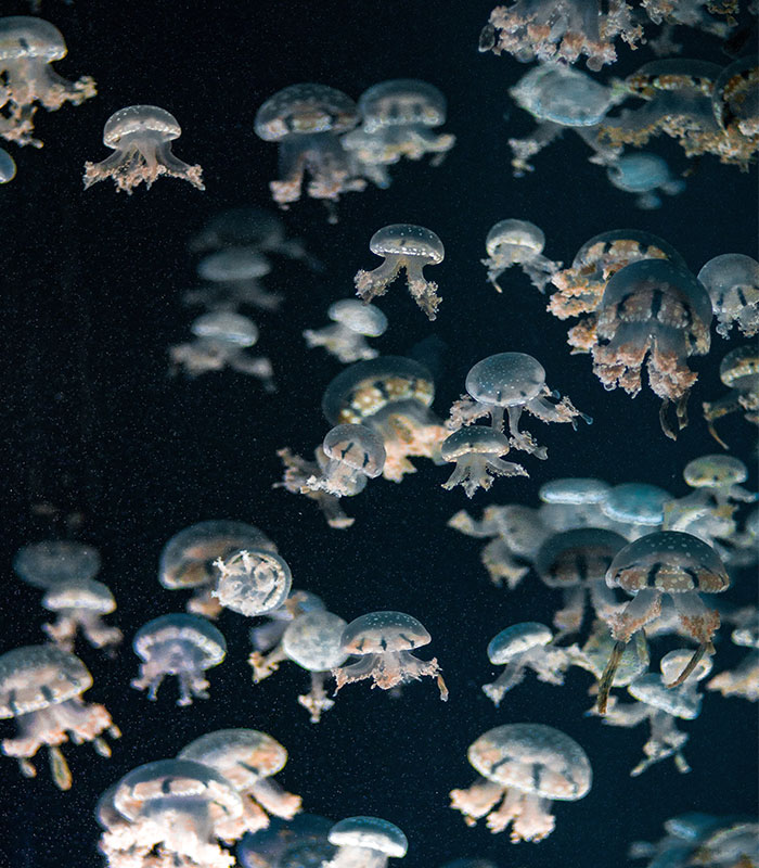 30 "Datos extraños" sobre el mundo que pueden darte una nueva perspectiva