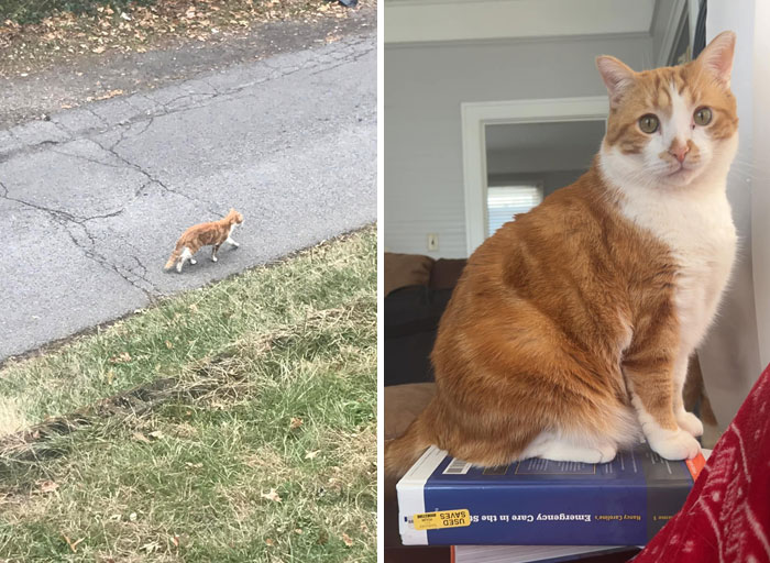 I’ve Told Y’all The Story Of How Lando Started Out As A Mhnmc By Swaggering Through My Front Door And Declaring The House As His Back In November 2019