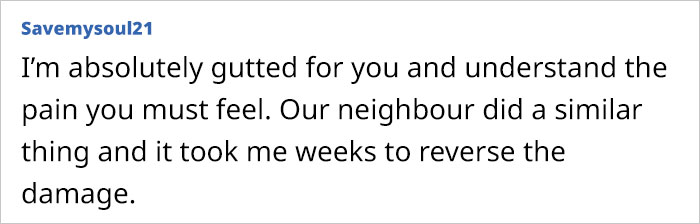 Person Says Their Side Of The Fence Looks Awful After Neighbor Painted Only Theirs Person Says Their Side Of The Fence Looks Awful After Neighbor Painted Only Theirs