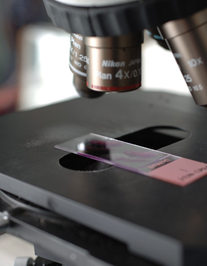 ‘Hoy aprendí’: 25 nuevos datos que demuestran que nunca es tarde para aprender algo nuevo