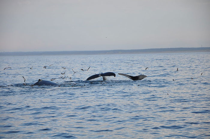 30 New ‘Today I Learned’ Facts That Prove It’s Never Too Late To Learn Something New