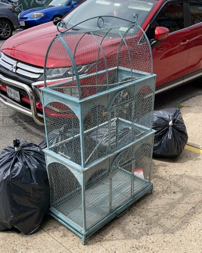 Holy!! What Would You Do With This Huge Bird Cage? Ten Eyck Between Waterbury And Morgan