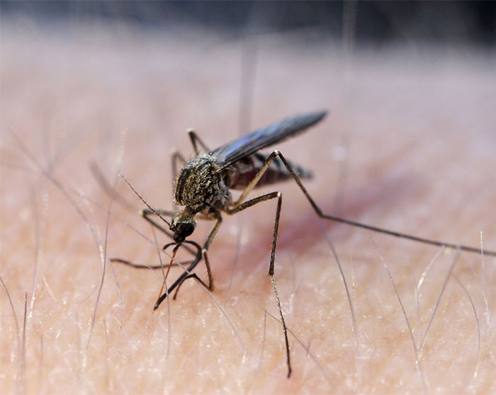 35 Weird, Fascinating, And Disturbing Statistics About Pretty Much Everything