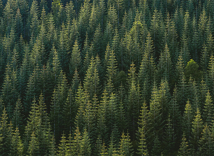 35 Weird, Fascinating, And Disturbing Statistics About Pretty Much Everything