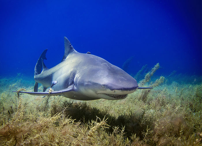 35 Weird, Fascinating, And Disturbing Statistics About Pretty Much Everything