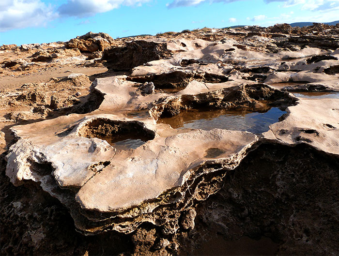 35 Weird, Fascinating, And Disturbing Statistics About Pretty Much Everything