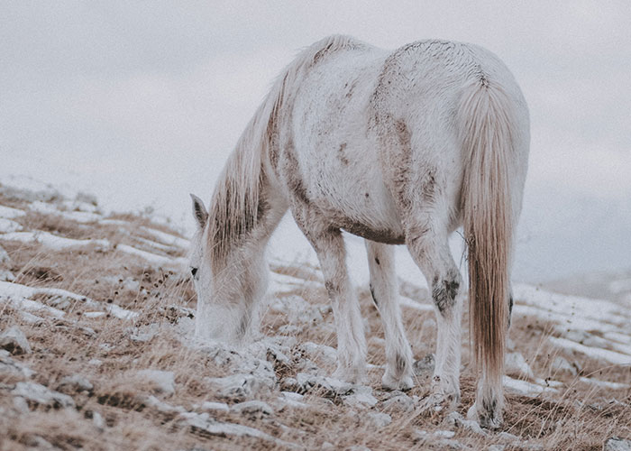 People Who Were Scared To Their Core Share Their 30 Spine-Chilling Experiences