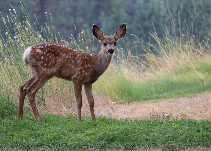 People Who Were Scared To Their Core Share Their 30 Spine-Chilling Experiences