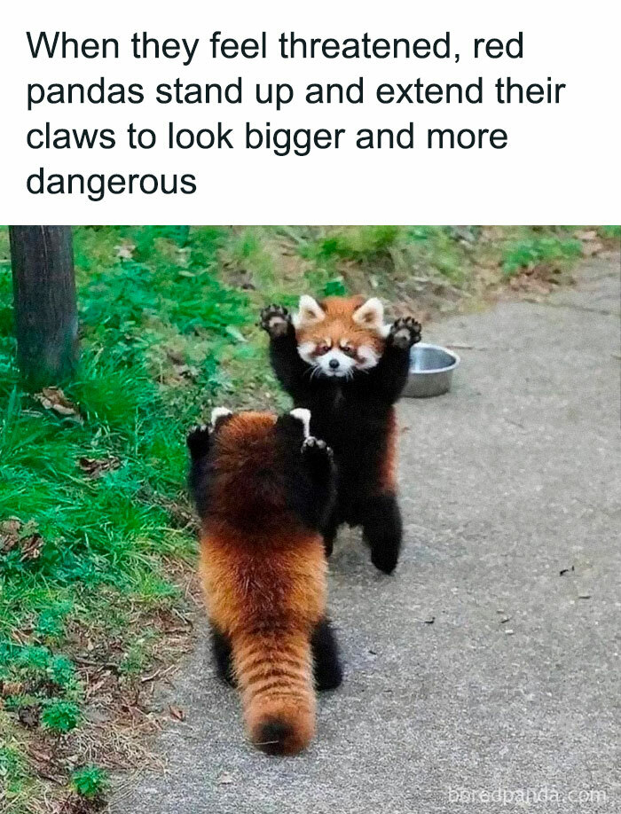 People-Share-The-Darker-Side-Of-Science