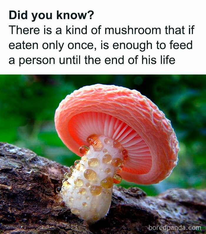 People-Share-The-Darker-Side-Of-Science