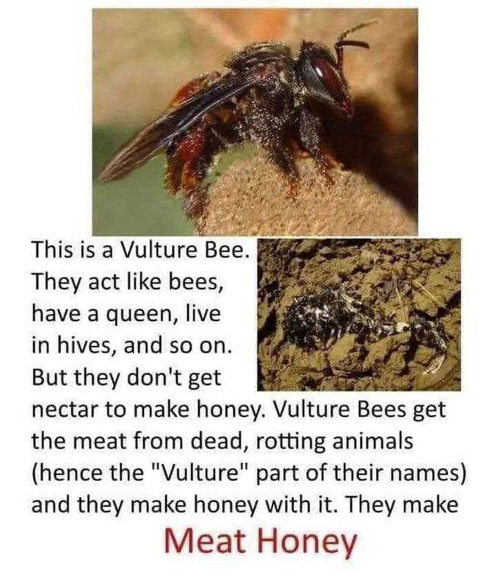 People-Share-The-Darker-Side-Of-Science