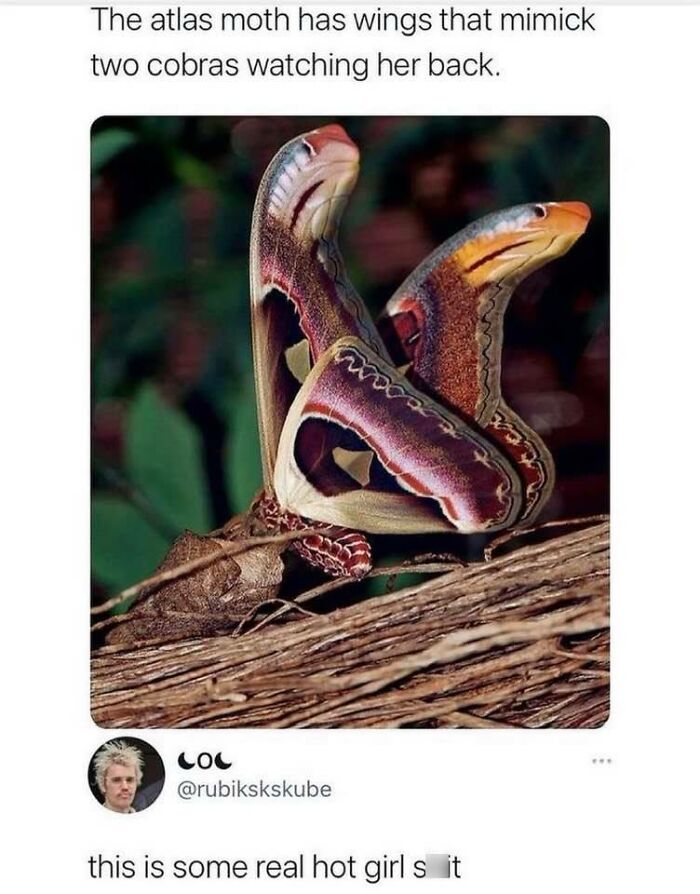 People-Share-The-Darker-Side-Of-Science