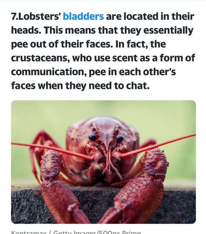 People-Share-The-Darker-Side-Of-Science