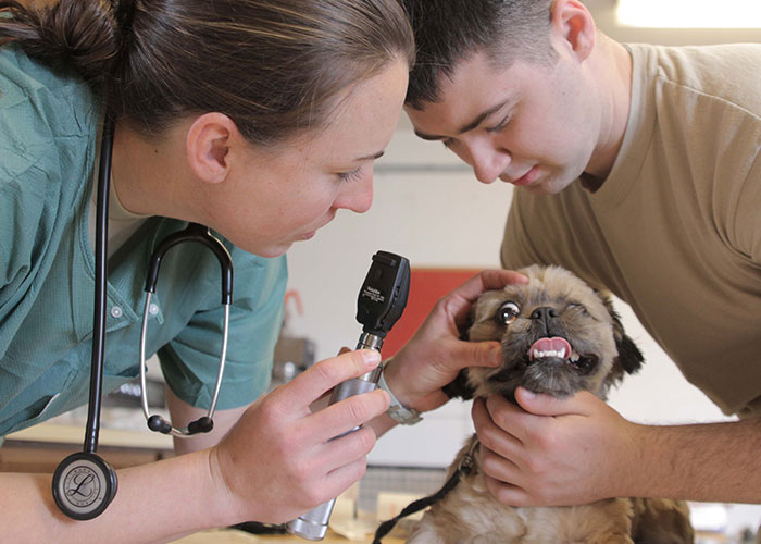 30 Careers That Seem Great But Are Actually Horrible And Careers That Are Often Overlooked, As Shared In This Online Thread