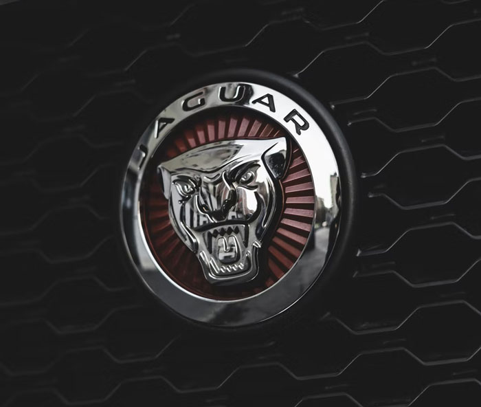 40 People Who Worked For The Super Rich Reveal The Craziest Things They Have Seen While On Duty