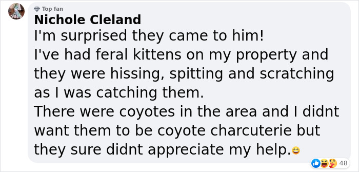 Man &lsquo;Ambushed&rsquo; By Kittens As He Stops On The Side Of The Road To Rescue One