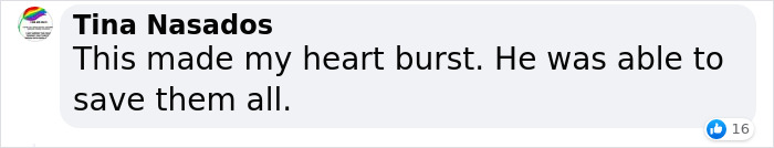 Man &lsquo;Ambushed&rsquo; By Kittens As He Stops On The Side Of The Road To Rescue One