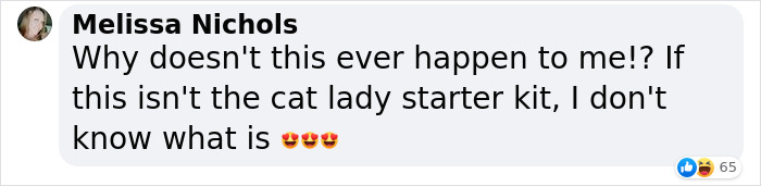 Man &lsquo;Ambushed&rsquo; By Kittens As He Stops On The Side Of The Road To Rescue One