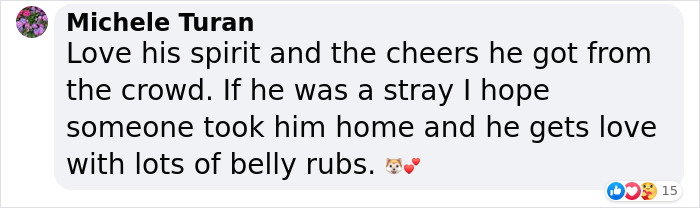 Dog-Interrupts-Football-Match-For-Belly-Rubs