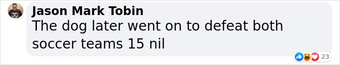 Dog-Interrupts-Football-Match-For-Belly-Rubs