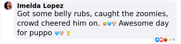 Dog-Interrupts-Football-Match-For-Belly-Rubs