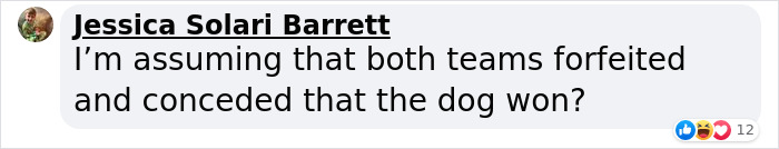 Dog-Interrupts-Football-Match-For-Belly-Rubs