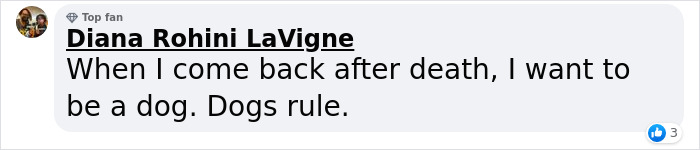 Dog-Interrupts-Football-Match-For-Belly-Rubs