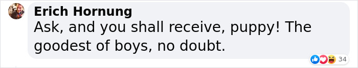 Dog-Interrupts-Football-Match-For-Belly-Rubs