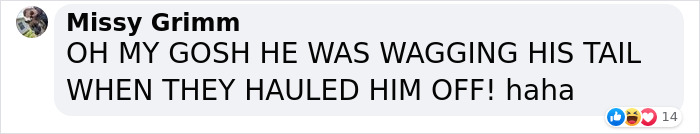 Dog-Interrupts-Football-Match-For-Belly-Rubs