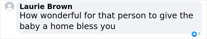 Stray Cat Begging For Food At A Store Melts This Woman's Heart, So She Adopts It And Shares Its Glow Up On Instagram