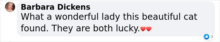 Stray Cat Begging For Food At A Store Melts This Woman's Heart, So She Adopts It And Shares Its Glow Up On Instagram