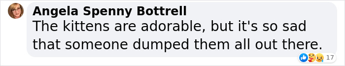 Man &lsquo;Ambushed&rsquo; By Kittens As He Stops On The Side Of The Road To Rescue One